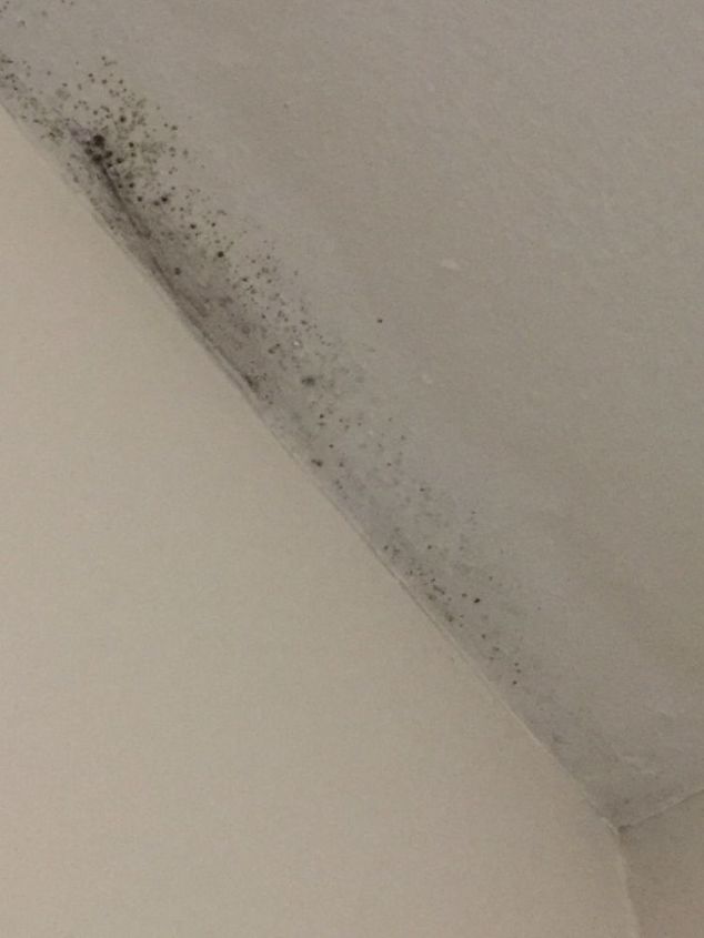 q is any body can help what it can be i saw this in my roof corner this