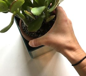 s 3 cute step by step ideas for unique planters, Step 6 Carefully place a plant inside