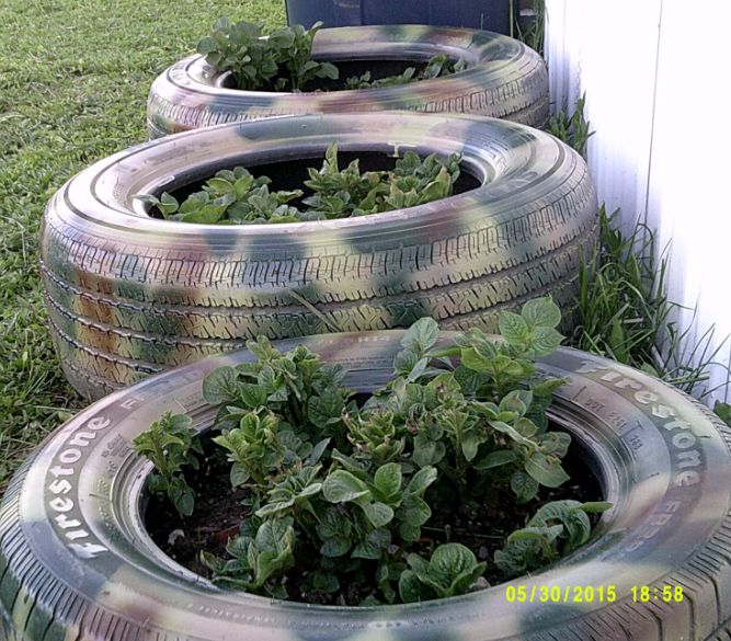 camoflauged but not hidden tire planters