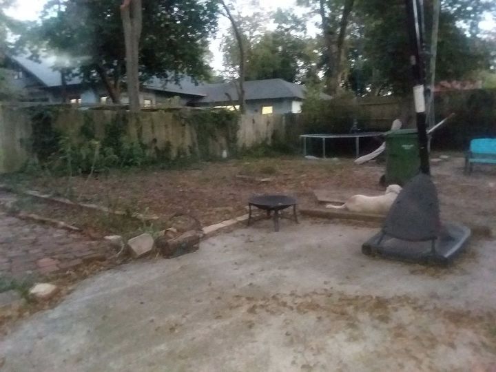 backyard grass grow won hometalk shame embarrassing