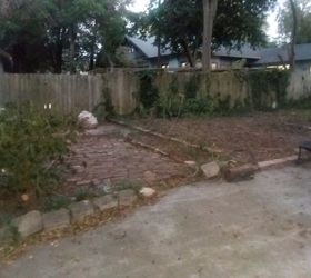 i have a backyard where grass won t grow