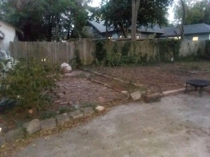 i have a backyard where grass won t grow