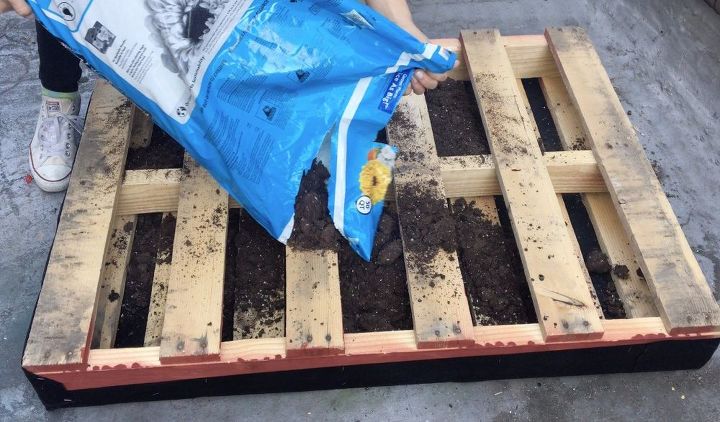s 3 fantastic step by step ideas what to do with pallets, Step 5 Flip pallet and fill with potting mix