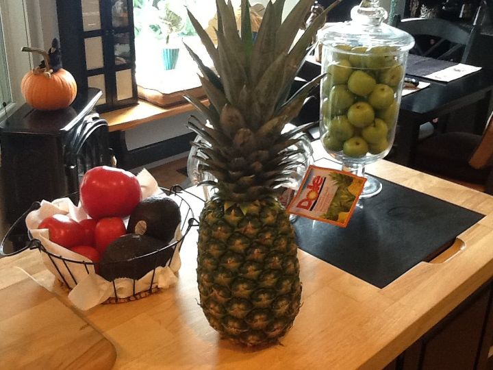 grow your own pineapple at home