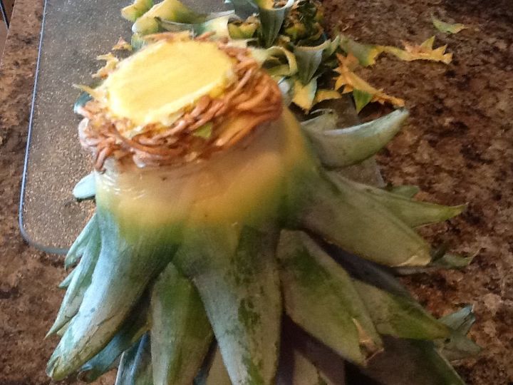 cultive seu prprio abacaxi em casa