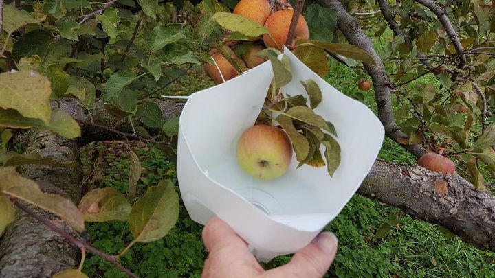 apple picking made easy the repurposed way