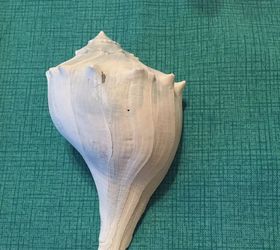 Dando a las conchas marinas un acabado de Unicorn Spit | Hometalk