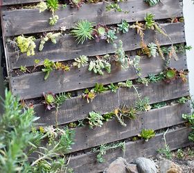 9 maneiras fceis de decorar sua casa com suculentas, jardim vertical de paletes
