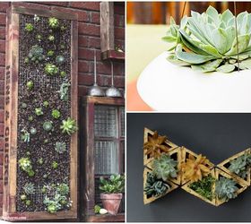 9 easy ways to decorate your home with succulents