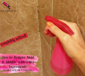 the best way to remove mold mildew with 2 ingredients no bleach