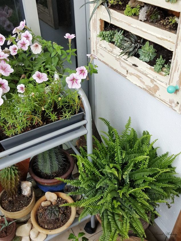 my bohemian balcony makeover built a mini deck stained stenciled, Another green nook my succulent planter