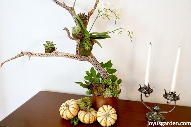 una decoracin de mesa otoal con suculentas y otros elementos naturales