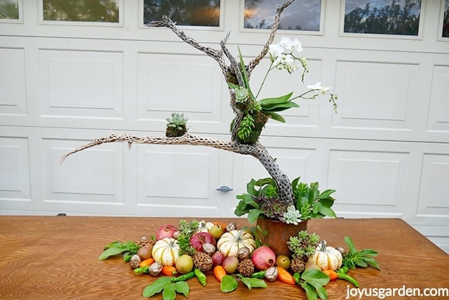 uma decorao de mesa outonal com suculentas e outros elementos naturais