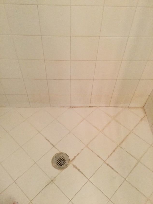 q how to remove mold from shower