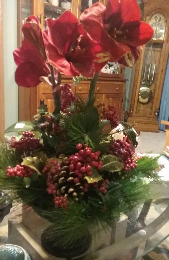 corona de navidad de flor de pascua y centro de mesa, Centro de mesa antes de arrancar las flores