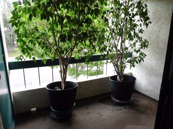 q repeat condo on 3rd floor n facing patio needs privacy
