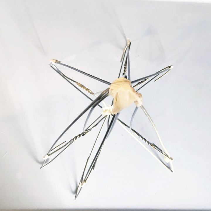 diy christmas tree from wire hangers