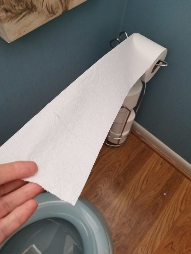 Turn Toilet Paper Into a Rose in 5 Minutes — A Cute Bathroom Touch ...