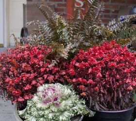 how to spray paint plants give them a new colorful life