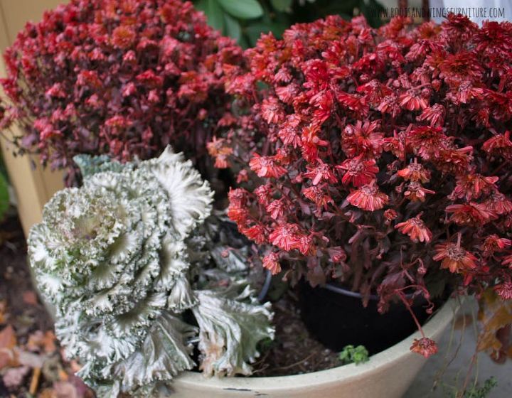 how to spray paint plants give them a new colorful life