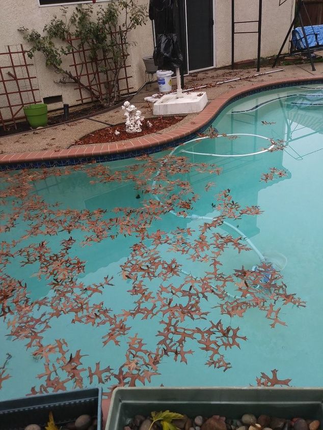 existe uma maneira de manter todas as folhas dos vizinhos fora da nossa piscina