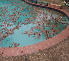 is there some way to keep all the neighbors leaves out of our pool