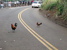 q why did the chicken cross the road