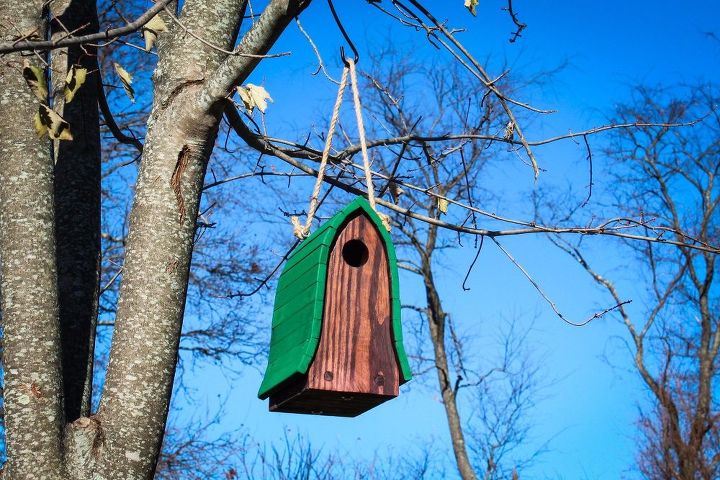 bluebird birdhouse hecho de paletas