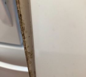 how do you really get black mold off white refrigerator door gaskets