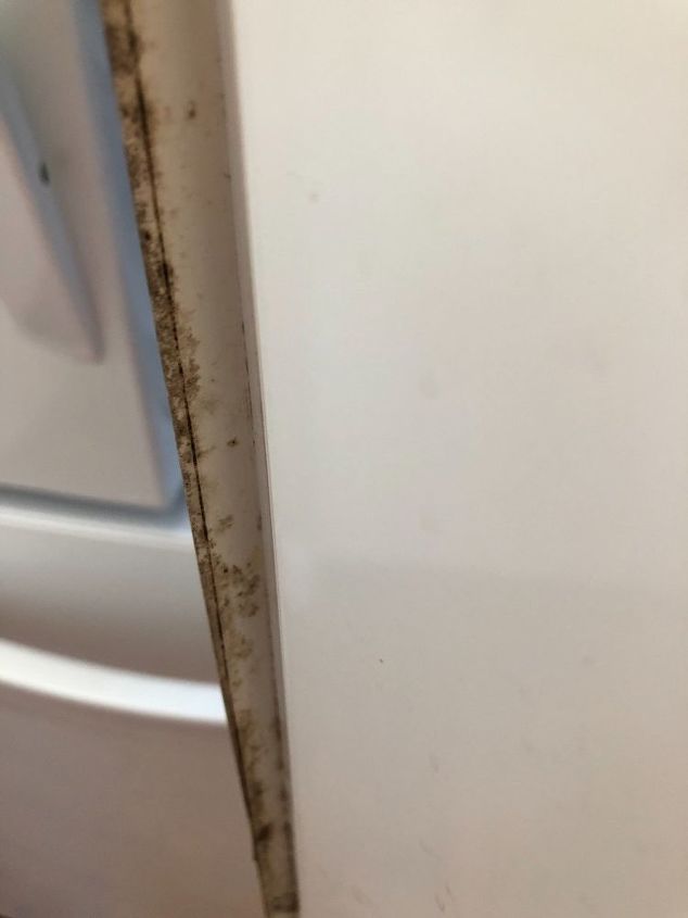 mold growth on refrigerator gasket close up