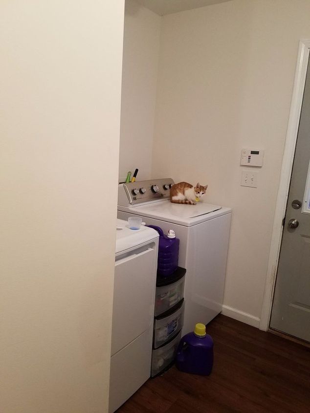q need ideas for organization of laundry room