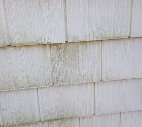 clean green mold off vinyl siding with out a pressure washer, before