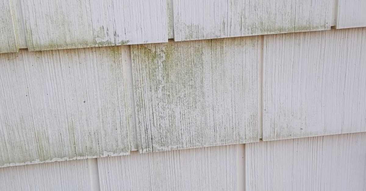 Clean Green Mold Off Vinyl Siding With Out A Pressure Washer Hometalk