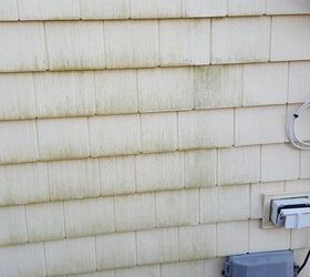 clean green mold off vinyl siding with out a pressure washer, Before