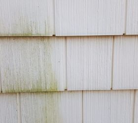 clean green mold off vinyl siding with out a pressure washer, Side by side