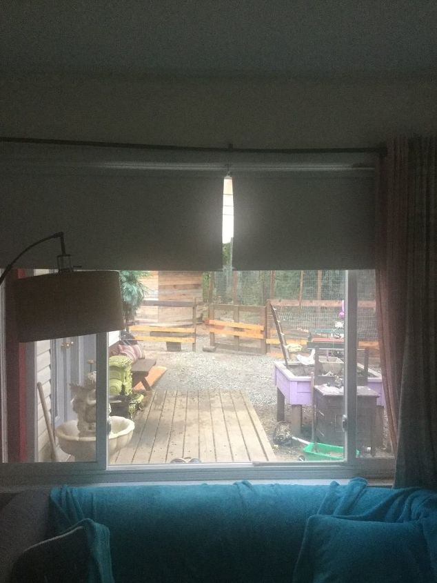 q filling the space between two blinds in a window