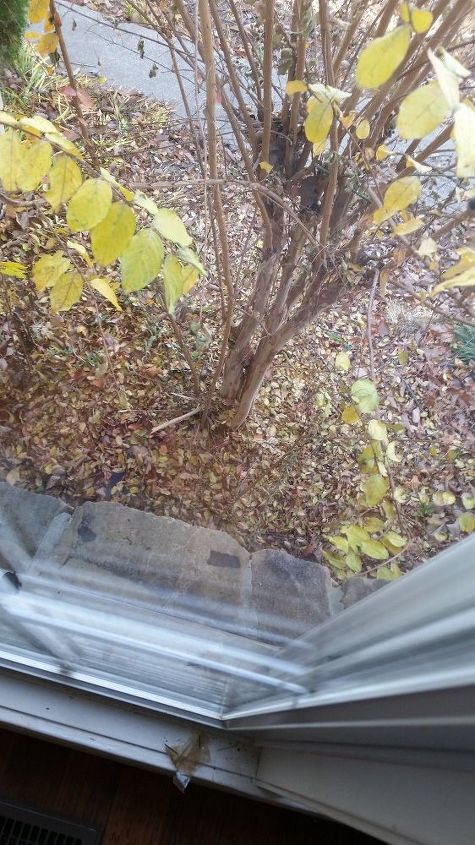 q is it too early to prune a crepe myrtle in se tennessee