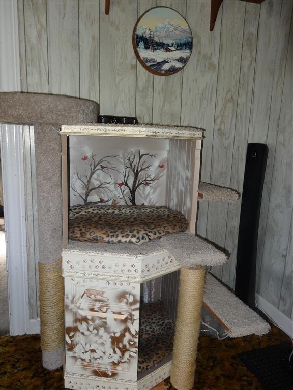 Diy Cat Trees Hometalk