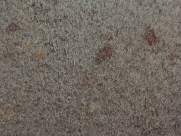 q how to remove blood from carpet