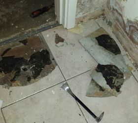 water damage repairs cardiff strip out and refurbishment of flat