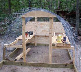 build your own chicken coop