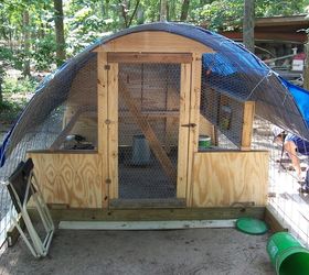 build your own chicken coop