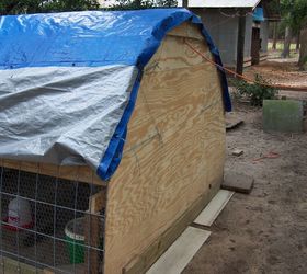 Build Your Own Chicken Coop Hometalk