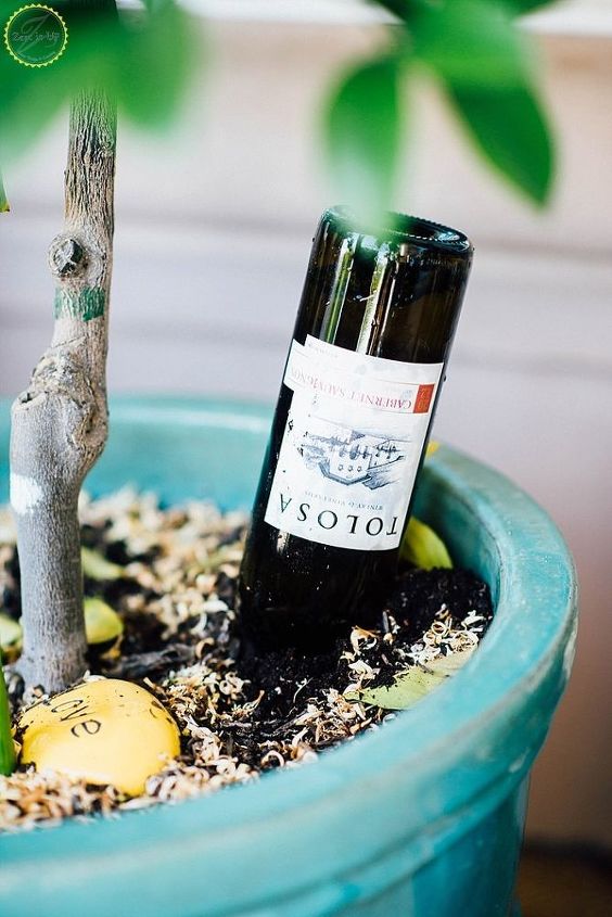 s cuddling up at home with a bottle of wine then try these projects, Make a Clever Self Watering Plant