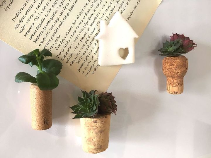 s cuddling up at home with a bottle of wine then try these projects, Make Tiny Succulent Cork Magnets