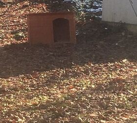 my dog has outgrown his doghouse how can i recycle or repurpose it to