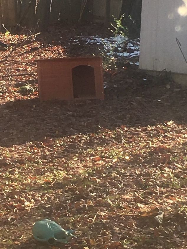 q my dog has outgrown his doghouse how can i recycle or repurpose it to
