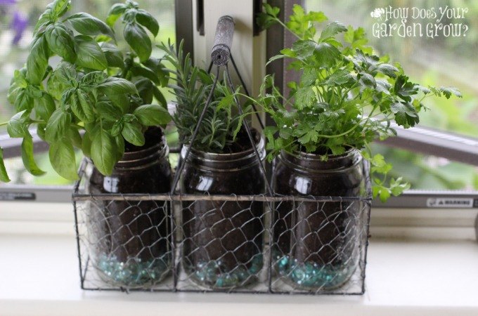 s the 25 most viewed mason jar projects on hometalk in 2017, Simple Mason Jar Herb Garden