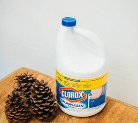 how to bleach pinecones tutorial