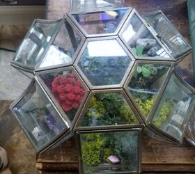 terrarium lighting fixtures